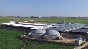 Palestine_aerial1